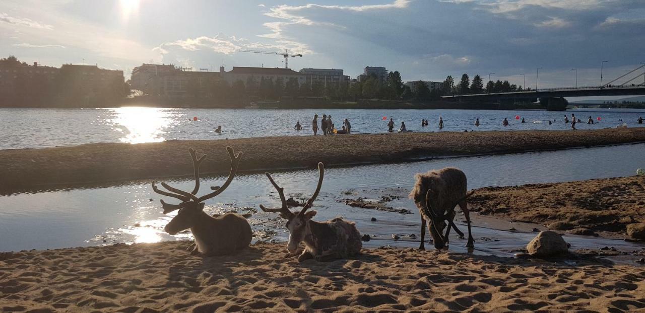 Kismet Leilighet Rovaniemi Eksteriør bilde